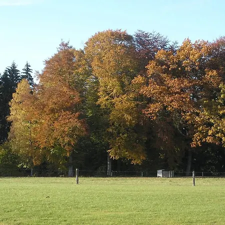 Cosy Holiday In Roumont Near Forest Casa vacanze Bertogne