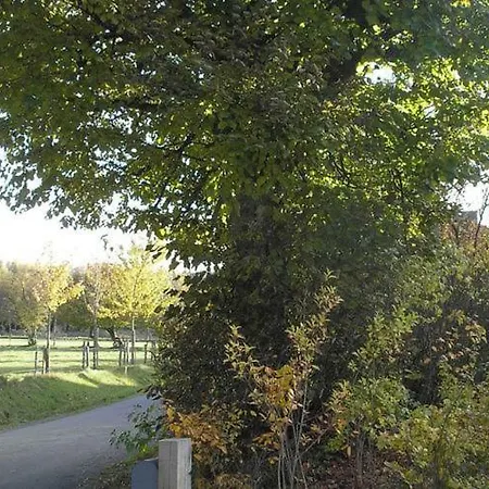 Casa vacanze Cosy Holiday In Roumont Near Forest *